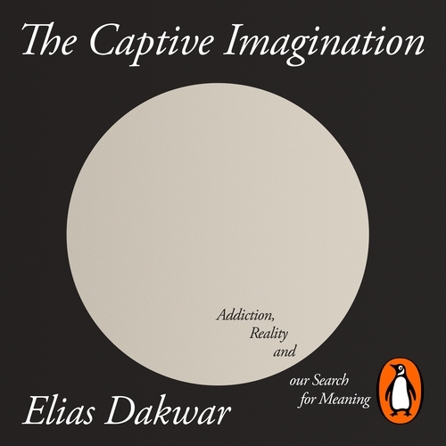 Book cover of The Captive Imagination by Elias Dakwar
