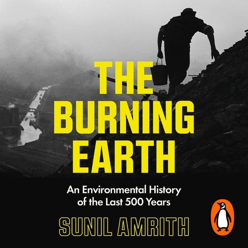 Book cover of The Burning Earth by Sunil Amrith