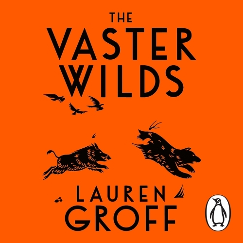 Book cover of The Vaster Wilds by Lauren Groff