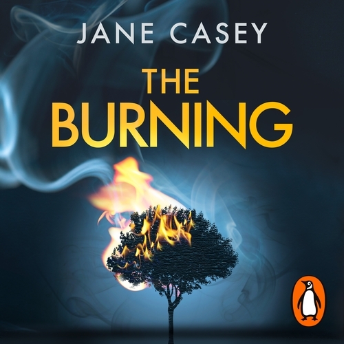 Book cover of The Burning by Jane Casey
