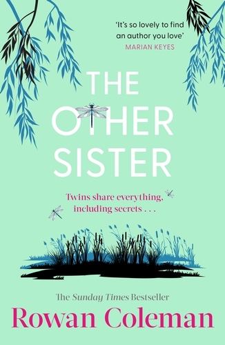 Book cover of The Other Sister by Rowan Coleman