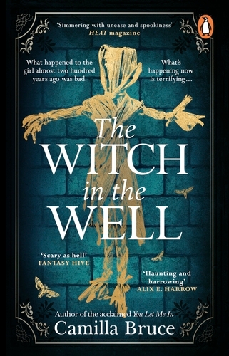 Book cover of The Witch in the Well by Camilla Bruce