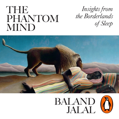 Book cover of The Phantom Mind by Baland Jalal