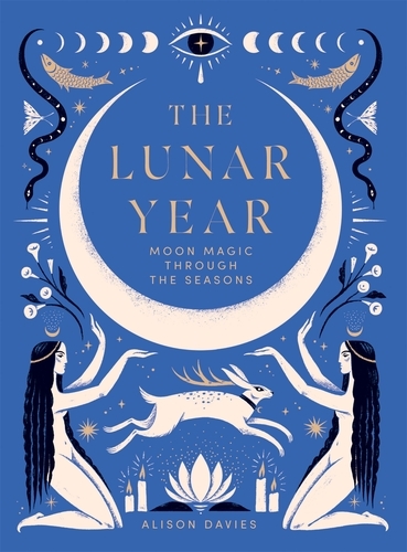 Book cover of The Lunar Year by Alison Davies