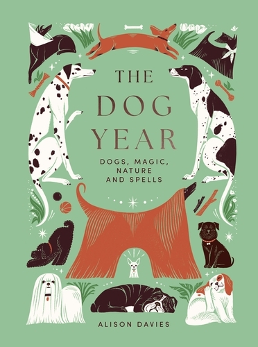 Book cover of The Dog Year by Alison Davies