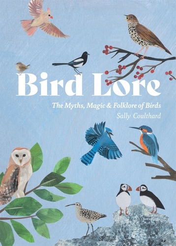 Book cover of Bird Lore by Sally Coulthard