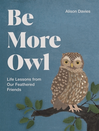 Book cover of Be More Owl by Alison Davies