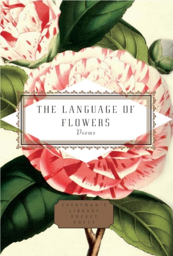Book cover of The Language of Flowers