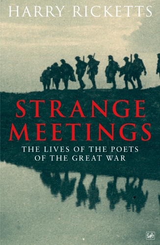 Book cover of Strange Meetings by Harry Ricketts