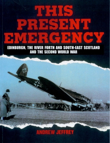 Book cover of This Present Emergency by Andrew Jeffrey