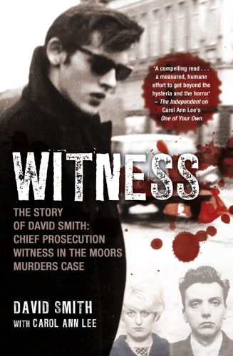 Book cover of Witness (later issued as Evil Relations) by David Smith, Carol Ann Lee