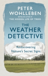 Book cover of The Weather Detective by Peter Wohlleben
