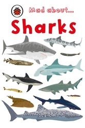 Book cover of Mad About Sharks by Ladybird