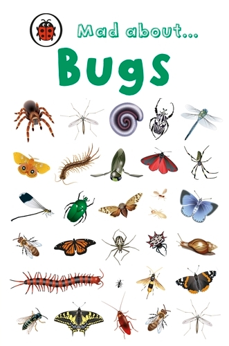 Book cover of Mad About Bugs by Ladybird