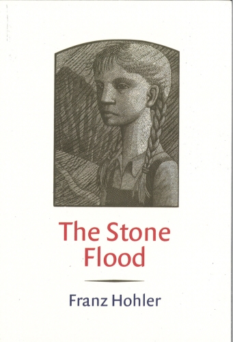 Book cover of The Stone Flood by Franz Hohler