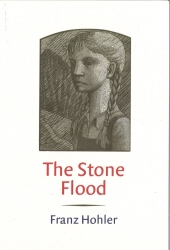 Book cover of The Stone Flood by Franz Hohler
