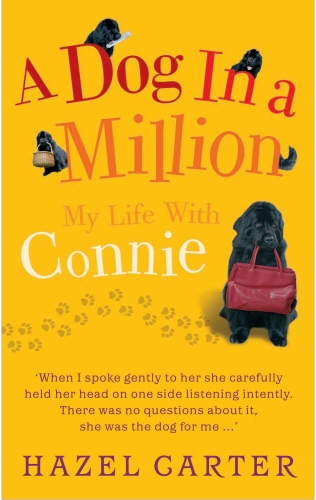 Book cover of A Dog in a Million by Hazel Carter