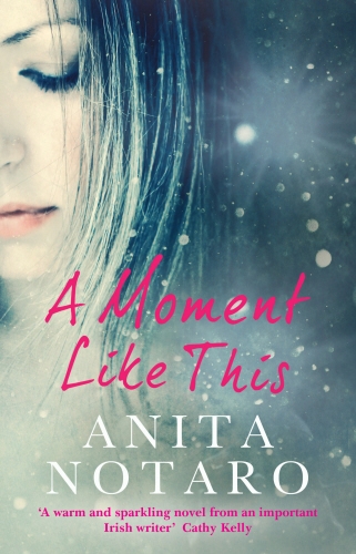 Book cover of A Moment Like This by Anita Notaro