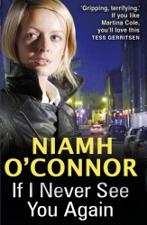 Book cover of If I Never See You Again by Niamh O'Connor