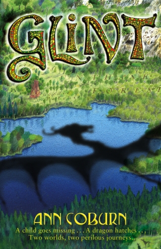 Book cover of Glint by Ann Coburn