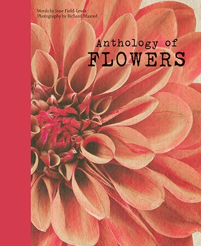Book cover of Anthology of Flowers by Jane Field-Lewis, Richard Maxted