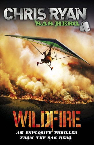 Book cover of Wildfire by Chris Ryan