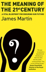 Book cover of The Meaning Of The 21st Century by James Martin