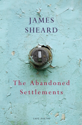 Book cover of The Abandoned Settlements by James Sheard