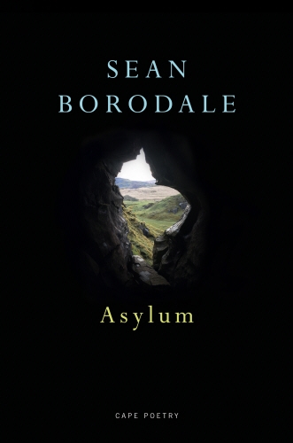 Book cover of Asylum by Sean Borodale