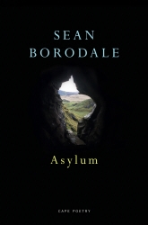 Book cover of Asylum by Sean Borodale