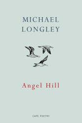 Book cover of Angel Hill by Michael Longley