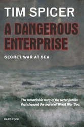 Book cover of A Dangerous Enterprise by Tim Spicer