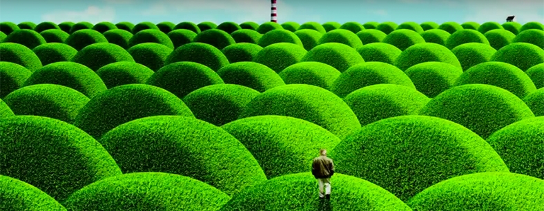 Rachel Joyce on The Unlikely Pilgrimage Of Harold Fry