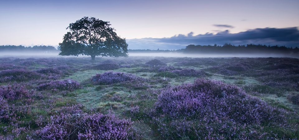 Anna Hope on the inspiring Yorkshire Moors