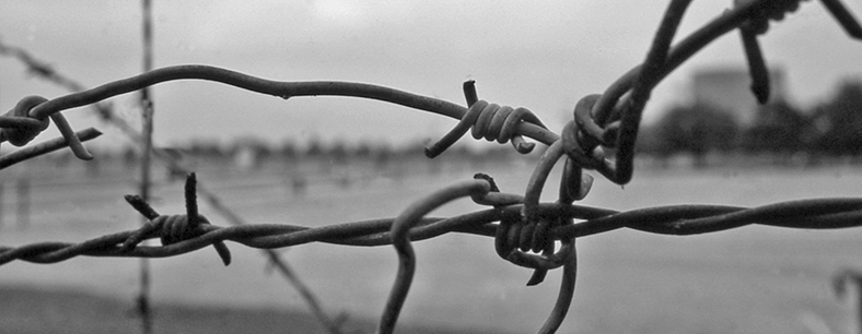 How can we stop the holocaust from happening again?