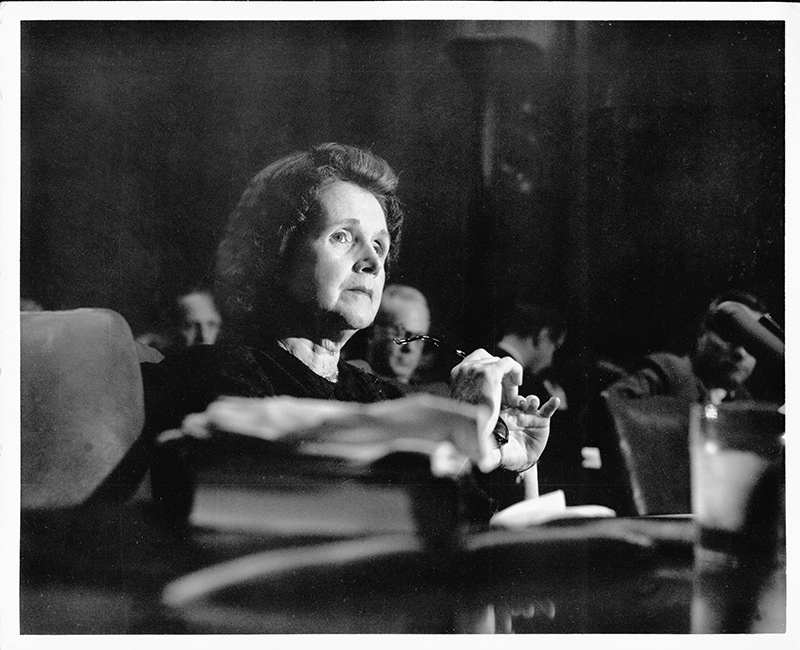 DNA by James Watson: additional notes part 2