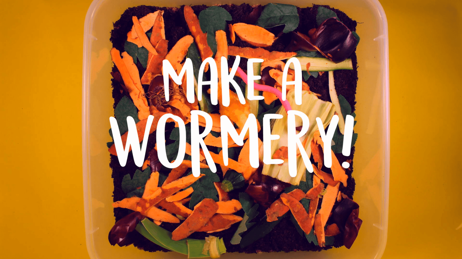 How to make a worm farm