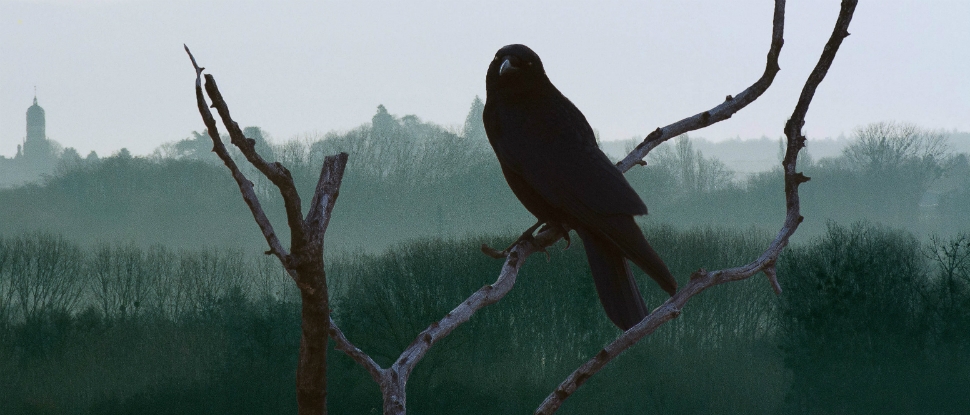 The curse of Macbeth: is it more than superstition?