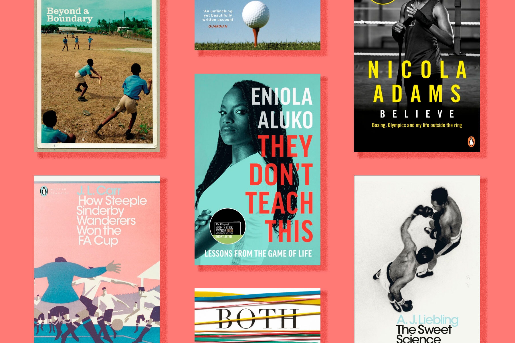 Great books for the sports fan in your life