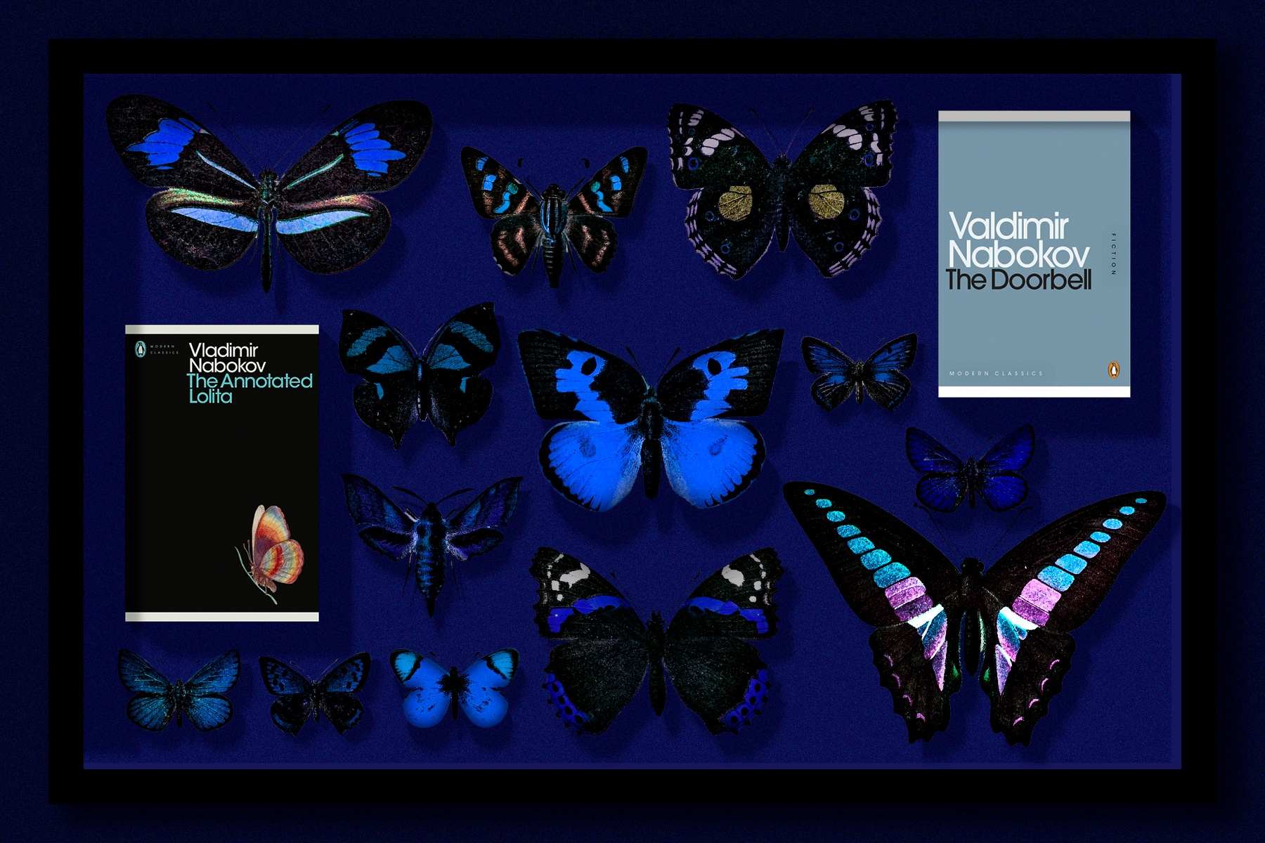 Vladimir Nabokov: novelist, poet… esteemed butterfly scientist?