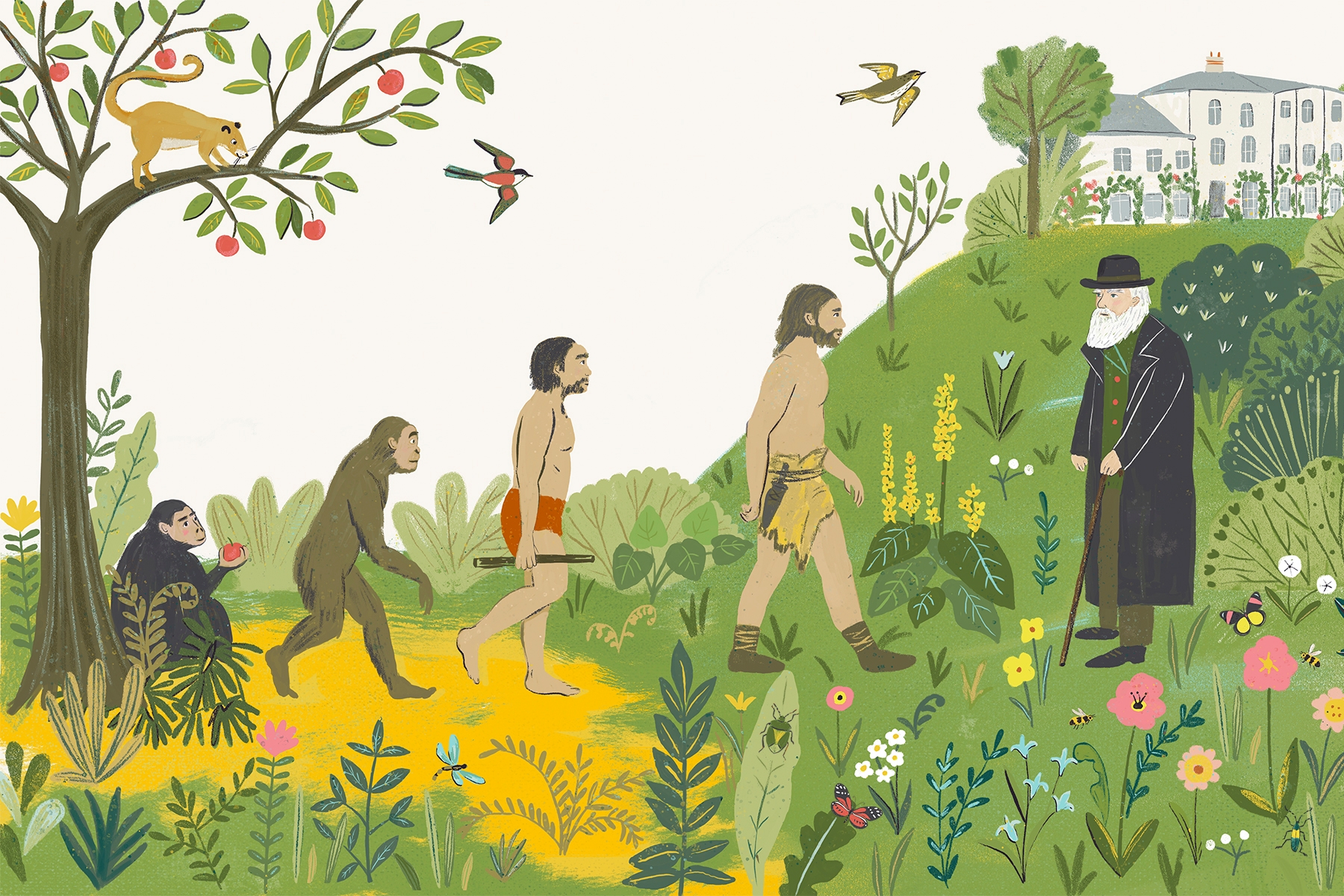 An illustration by Sabina Radeva from her book On the Origins of Species. It depicts mans evolution from ape to human 