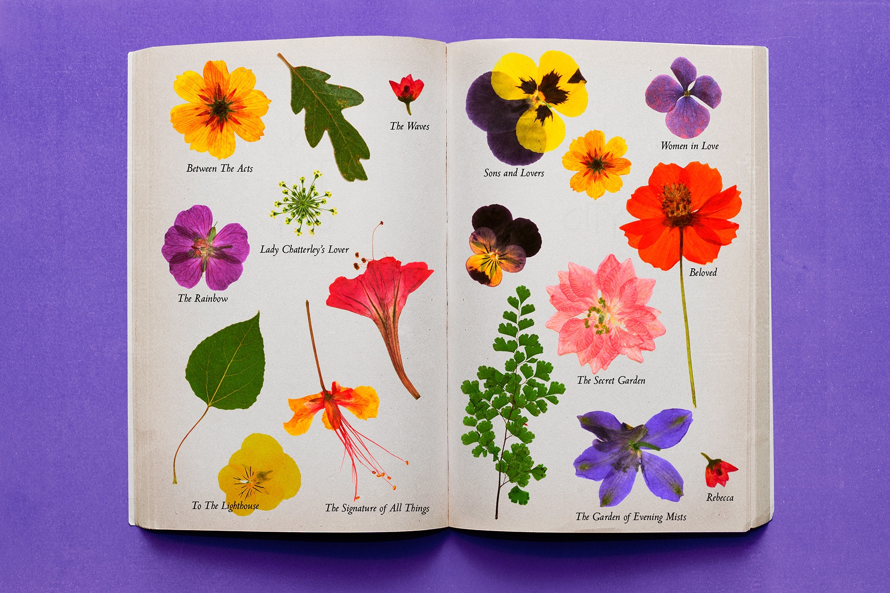 Floral fiction: a book-lover’s guide to the best flowers in literature