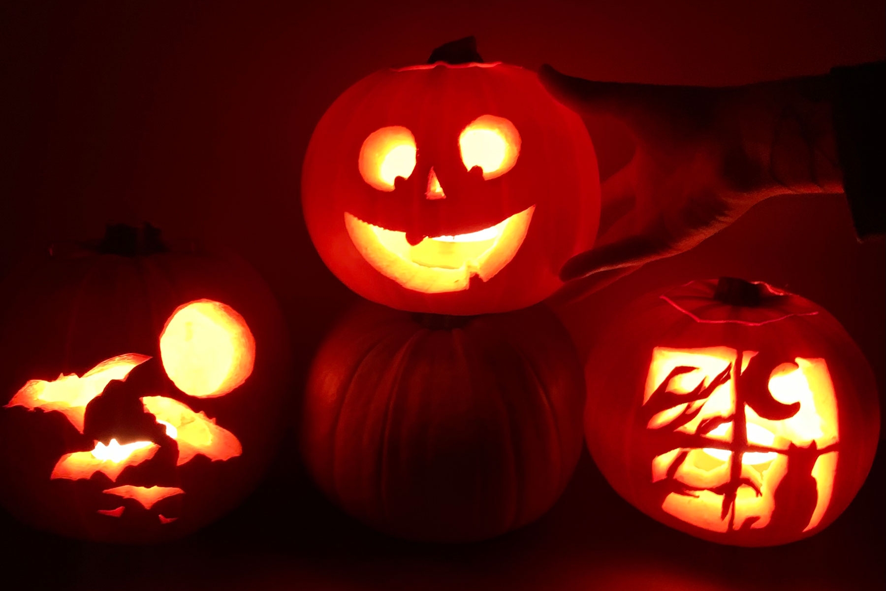 A photo of three carved pumpkins sitting in a darkened room with candles glowing inside