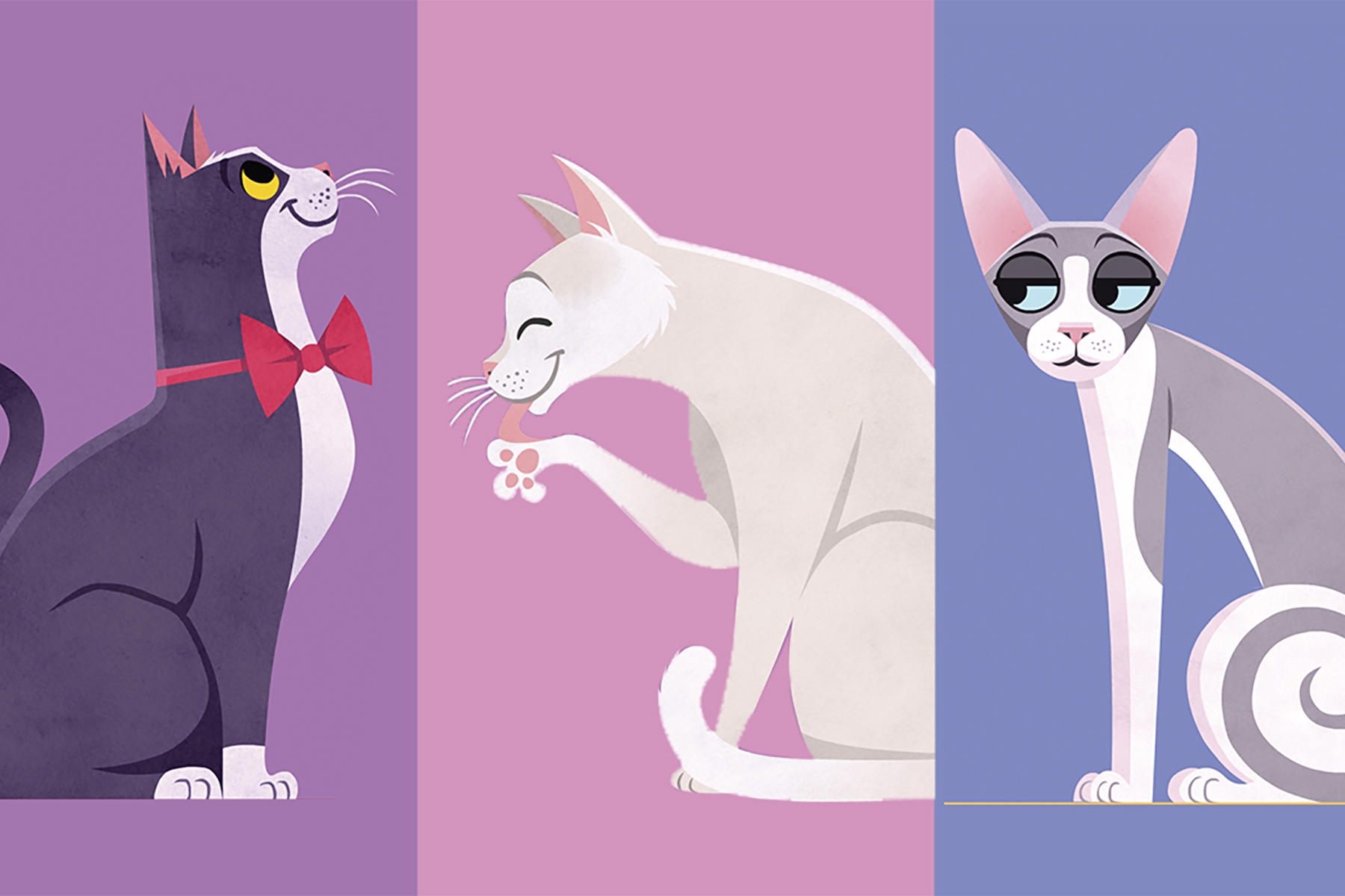 An image of three illustrated cats on different coloured backgrounds. The cat on a purple background is looking up; the cat on the pink background is licking it's paw; and the cat on the blue background is looking sly.