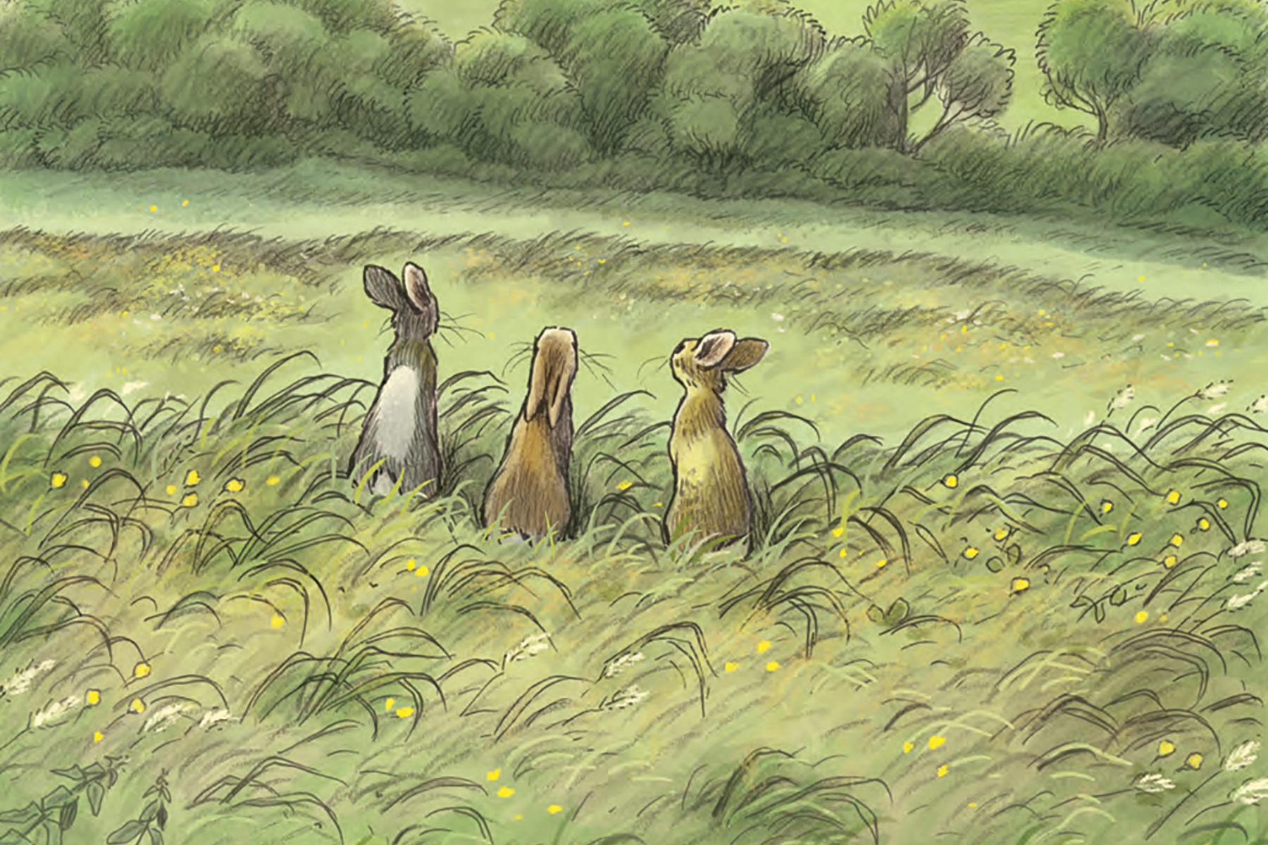 An illustration of three rabbits from Watership Down looking at the view from a beautiful hill