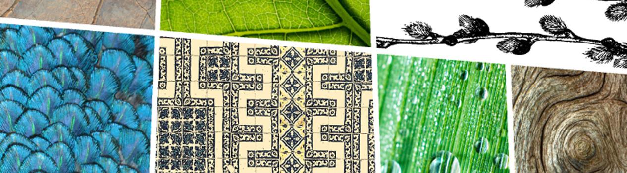 7 tips for designing your dream garden