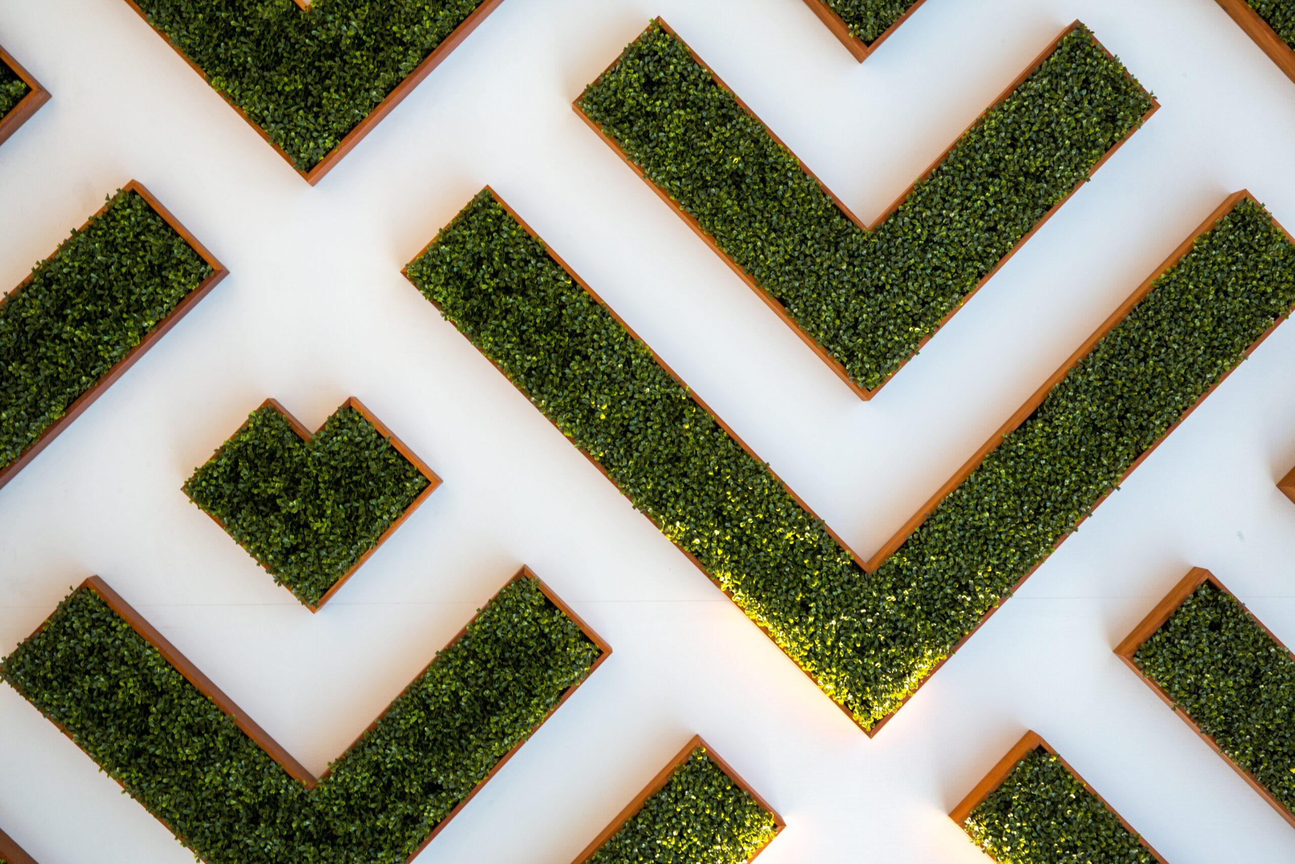 How to change your beliefs to seize new opportunities