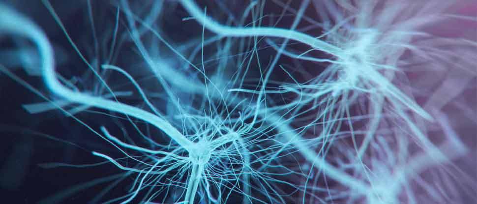 When bigger isn’t always better: how history got the female brain wrong