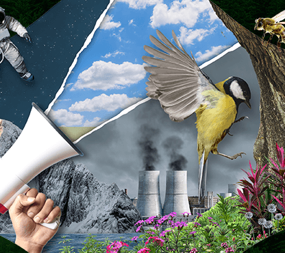 Decorative collage for The Penguin books that challenged our view of the environment article, featuring images related to the environment