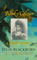 Book cover of The Book Of Colour by Julia Blackburn